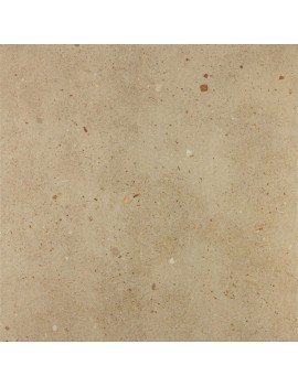 VERSAIL BEIGE GRANIT REF: GDG50711