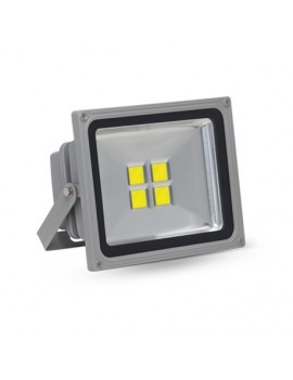 Projecteur 50W 100-260V AC CoB